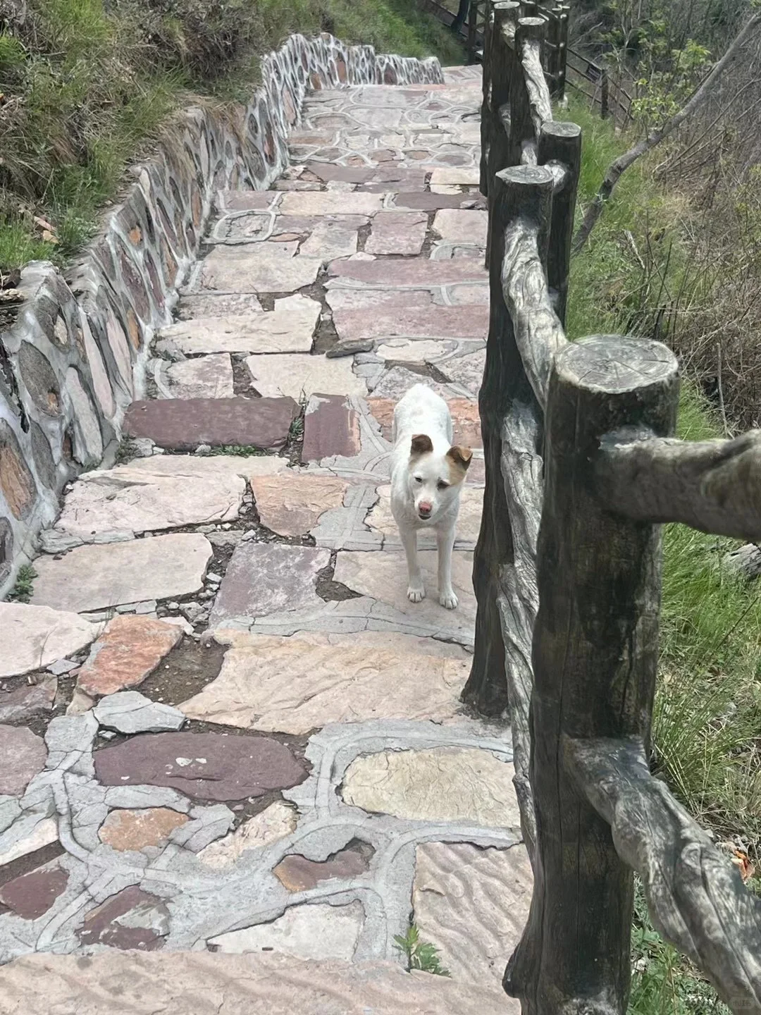 古武当山拿下！