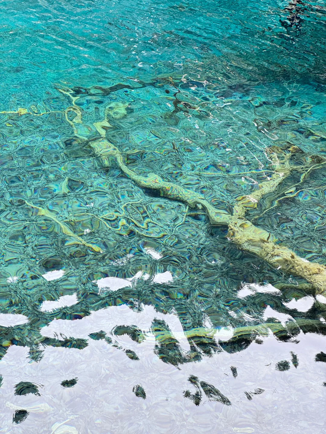 3.23📍九寨沟已回，live现状，能帮一个是一个