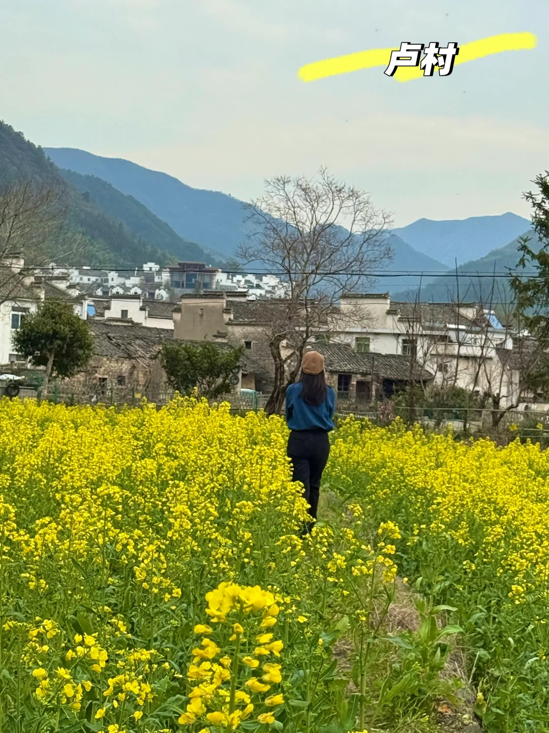 别挤宏村‼️这条私密路线承包90%皖南春色