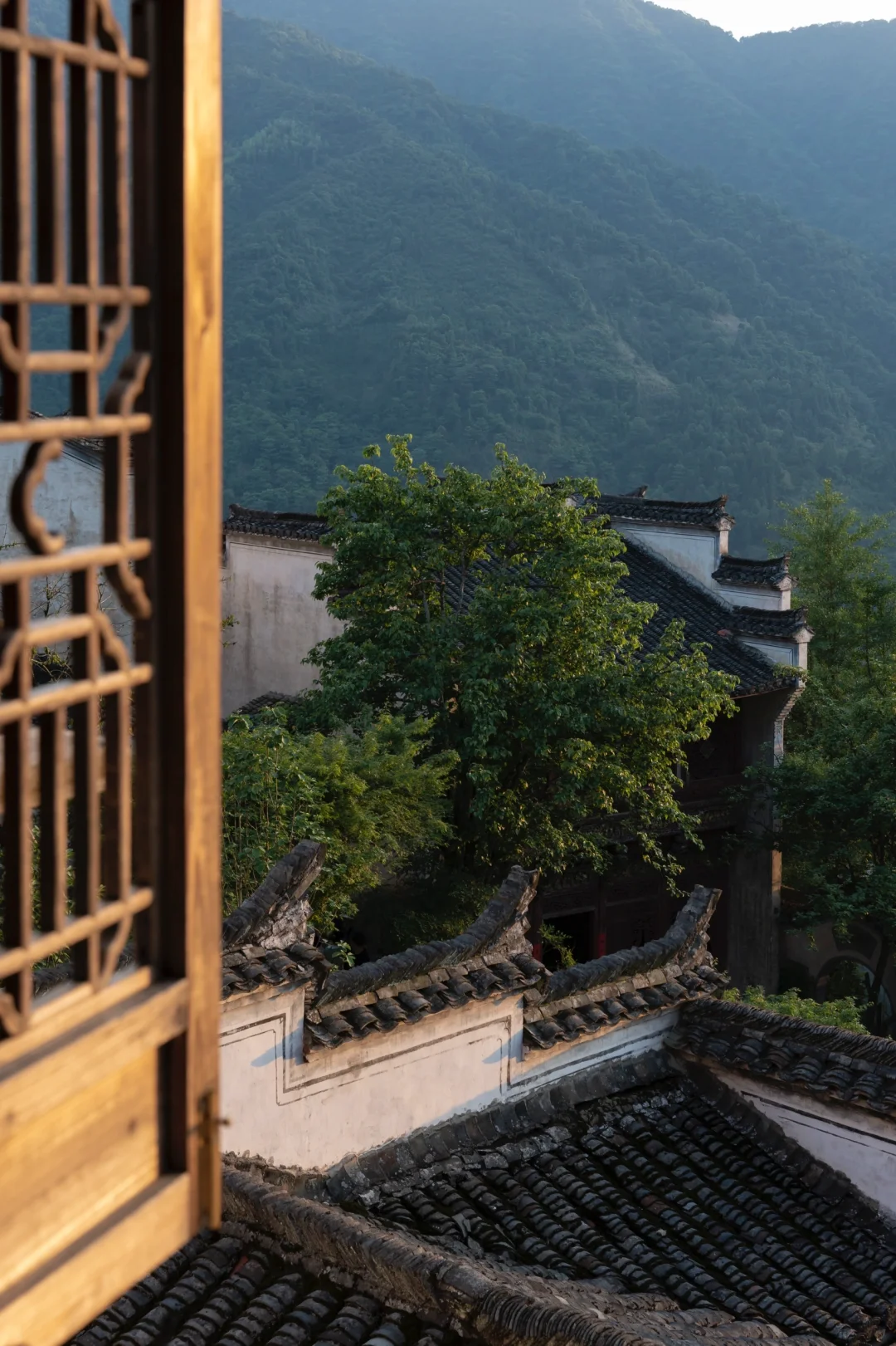 比起景德镇，我更爱上榜国家地理的春日小城