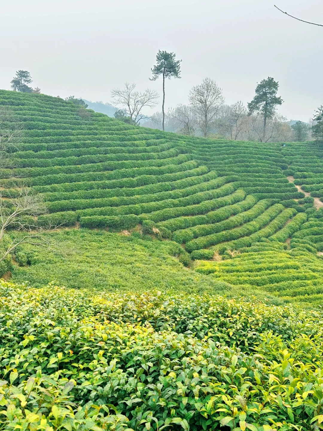周末出发,武汉打工人满血复活!✨