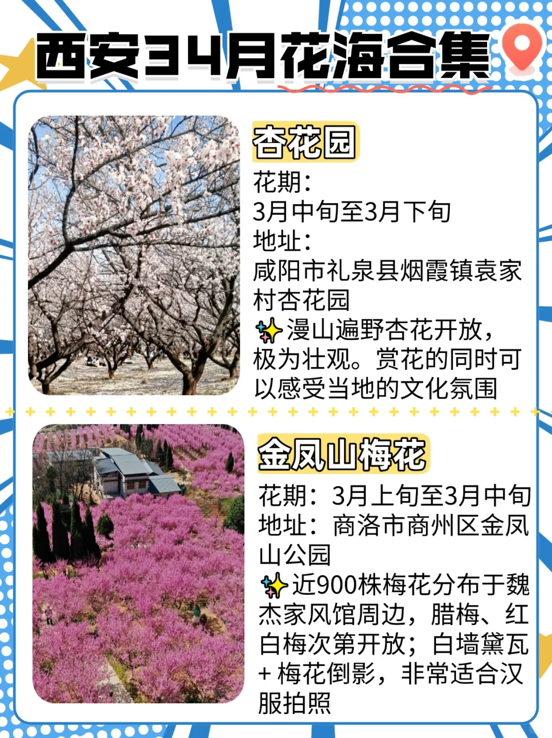 西安3-4月周边这些绝美花海和秘境