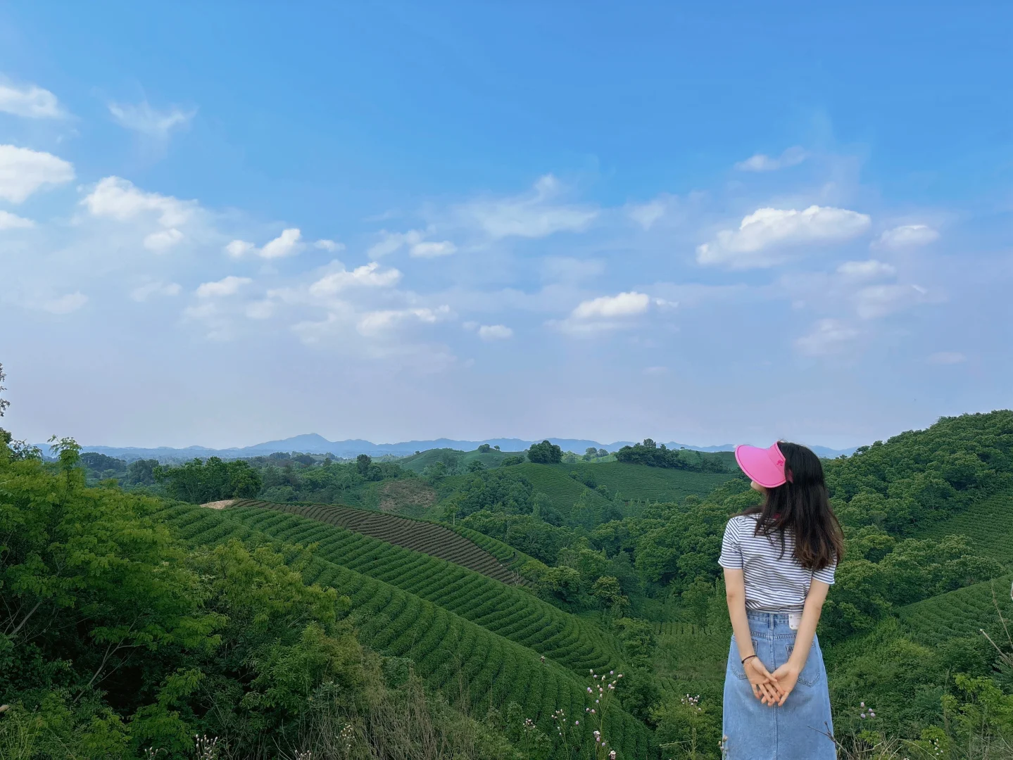 信阳|别去文新茶村人挤人,这有一处无人茶山