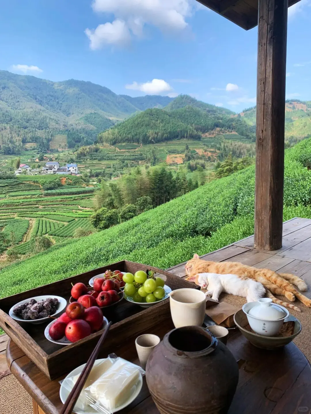 这不是瑞士🇨🇭,而是广东清远😭太chill辣🍁
