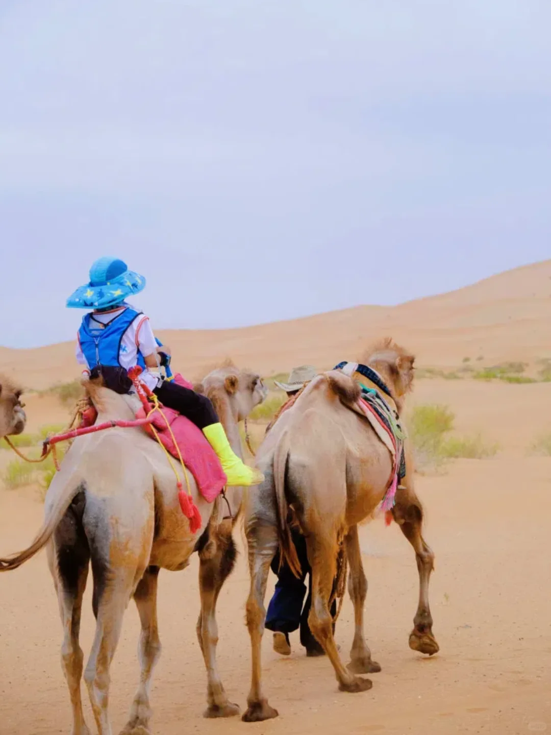 清明五一避开人流！推荐8个小众宝藏遛娃地