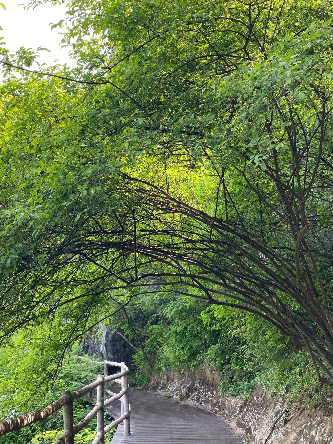 保定｜“北方小桂林”易水湖🏝️