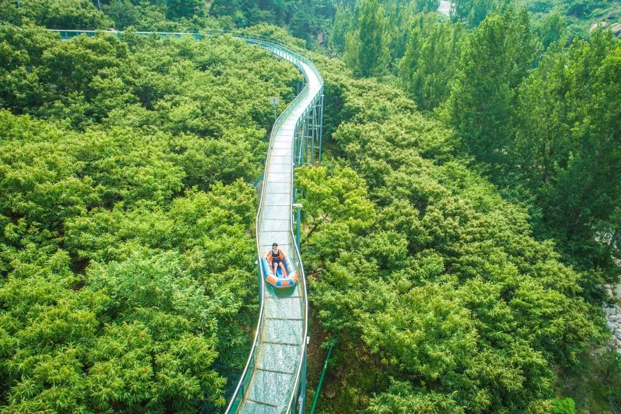 被天蒙景区美哭！一场超治愈的云端之行