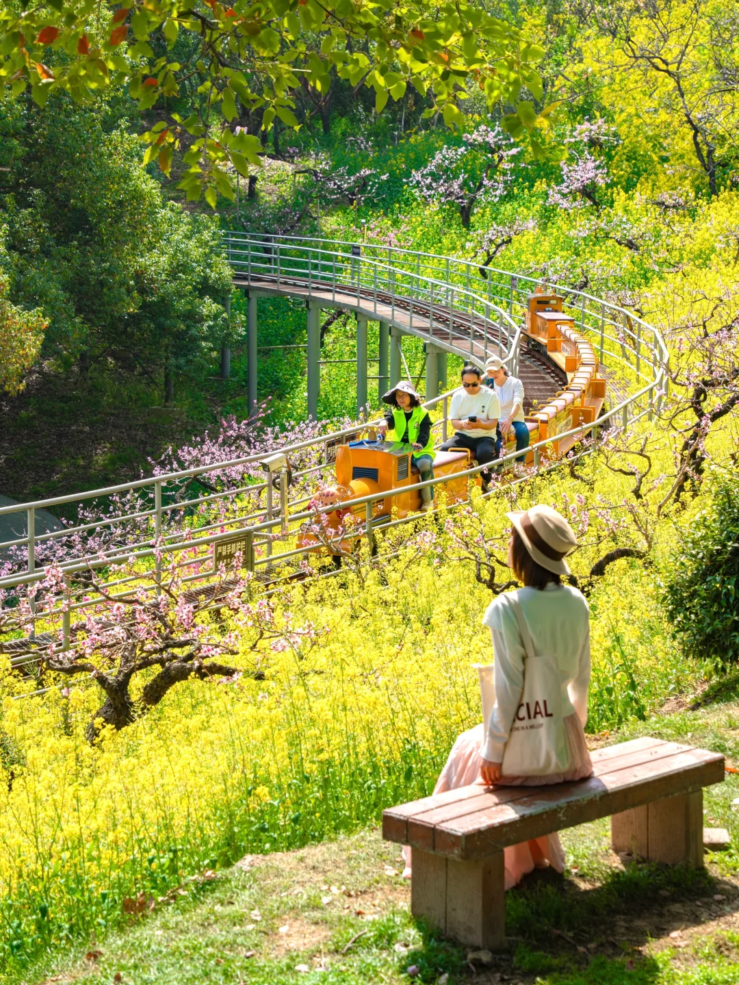 在湖州，坐上开往春天的漫画小火车