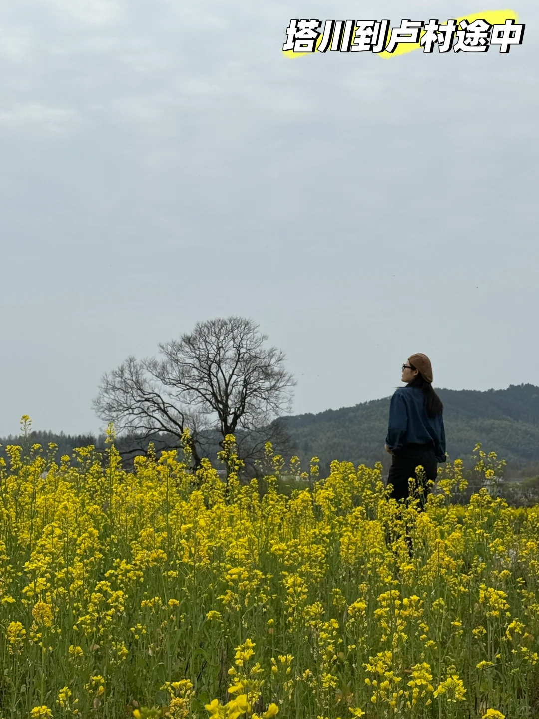 别挤宏村‼️这条私密路线承包90%皖南春色