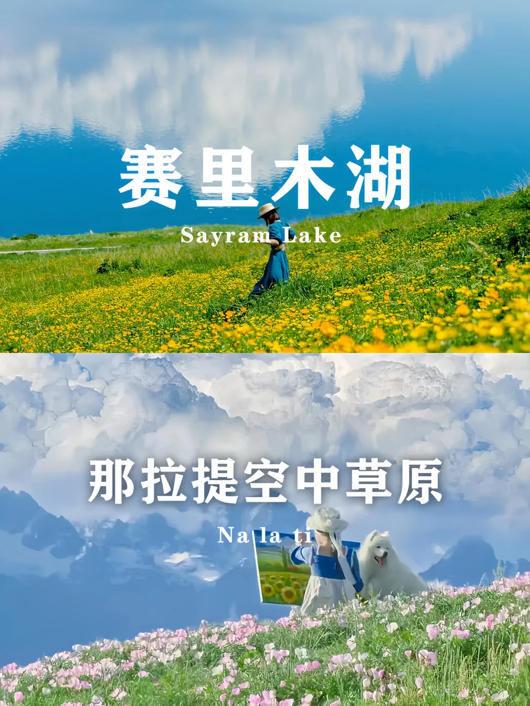 🌲新疆伊犁旅游 | 7天才用3K+💰纯玩游