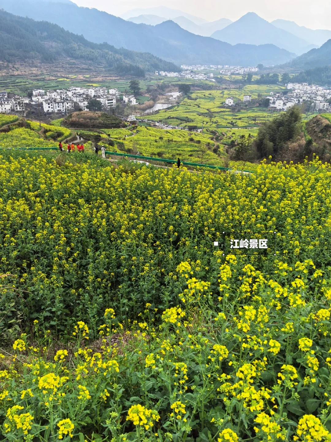 别去篁岭了！这两个婺源小众赏花地美哭了！