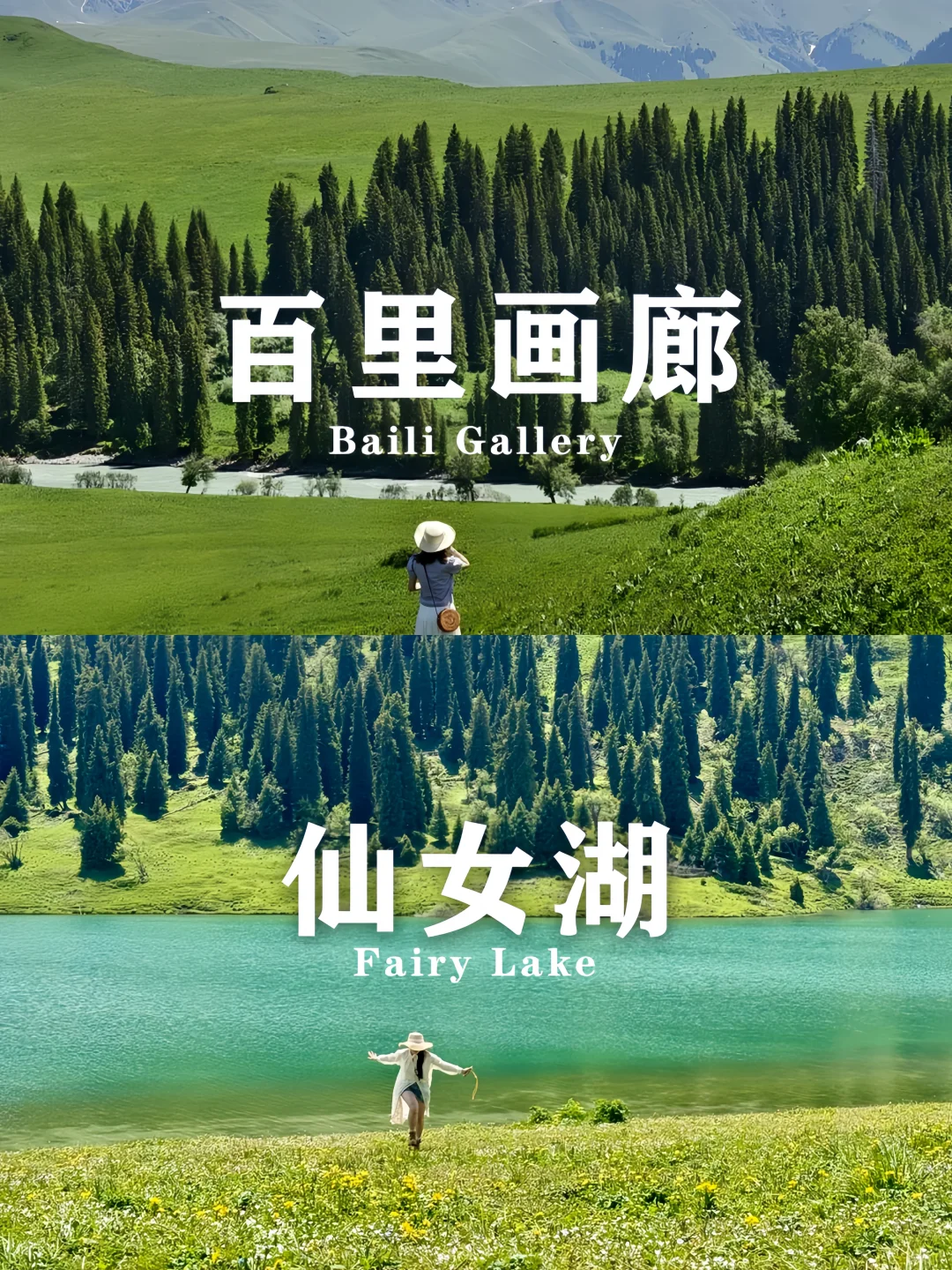 🌲新疆伊犁旅游 | 7天才用3K+💰纯玩游