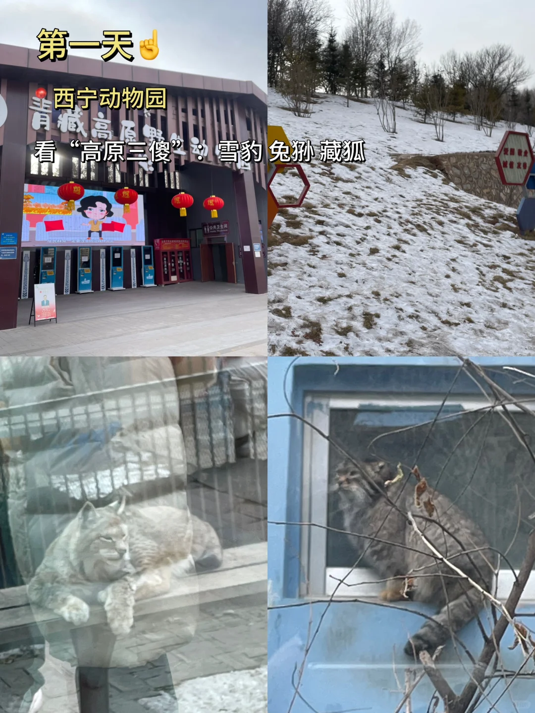 06女生一个人穷游之📍西宁