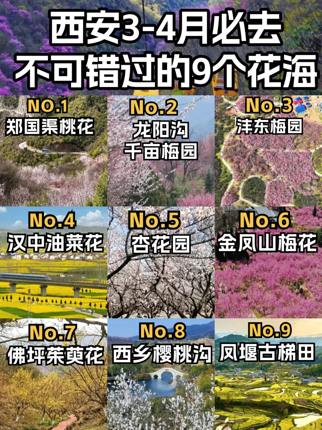 西安3-4月周边这些绝美花海和秘境