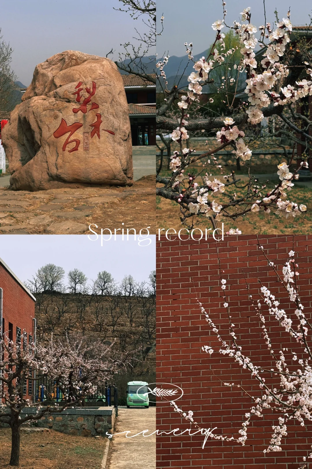 我在蓟县上春山🍃 逃离城市喧嚣！