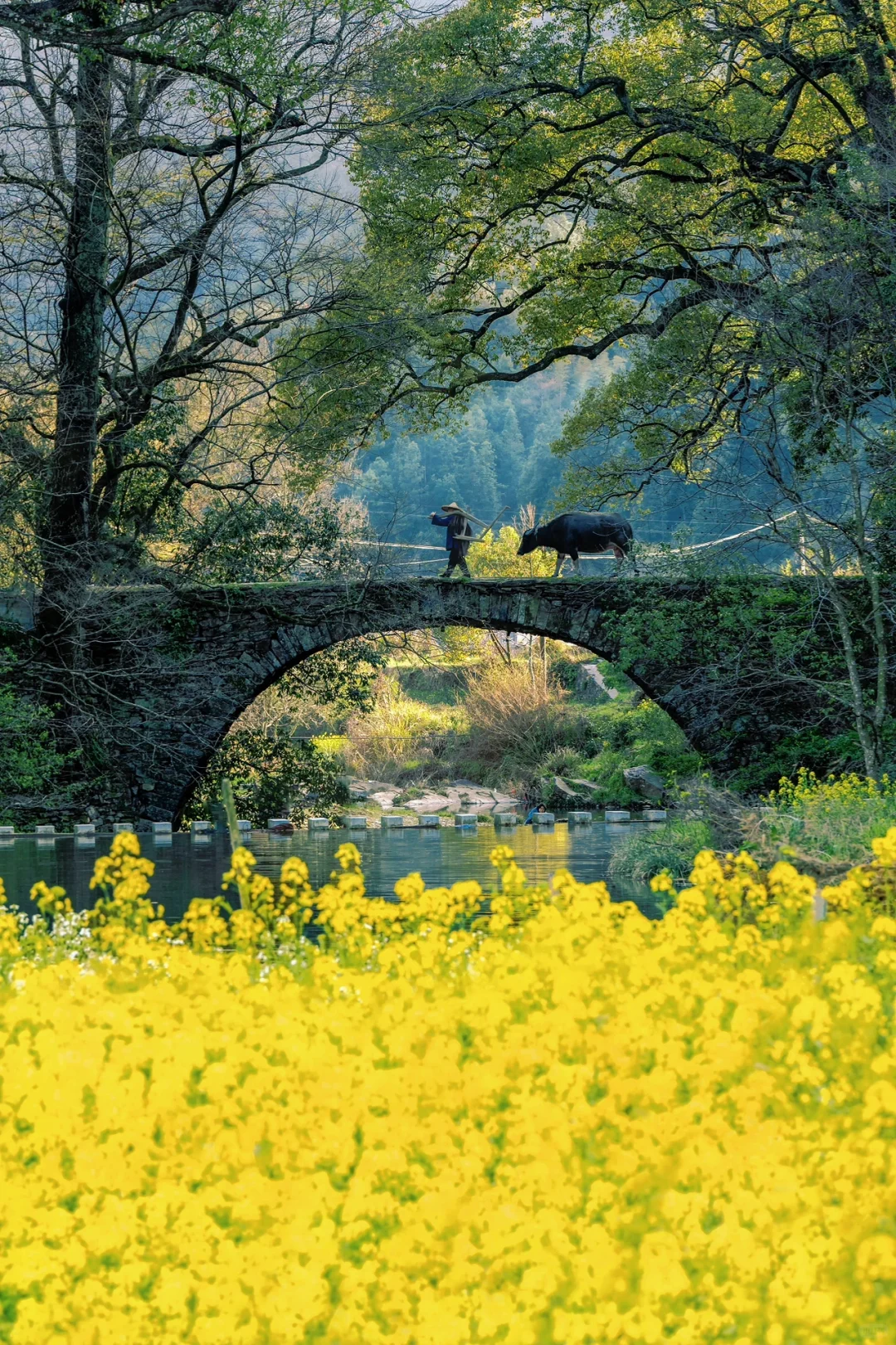 比起景德镇，我更爱上榜国家地理的春日小城