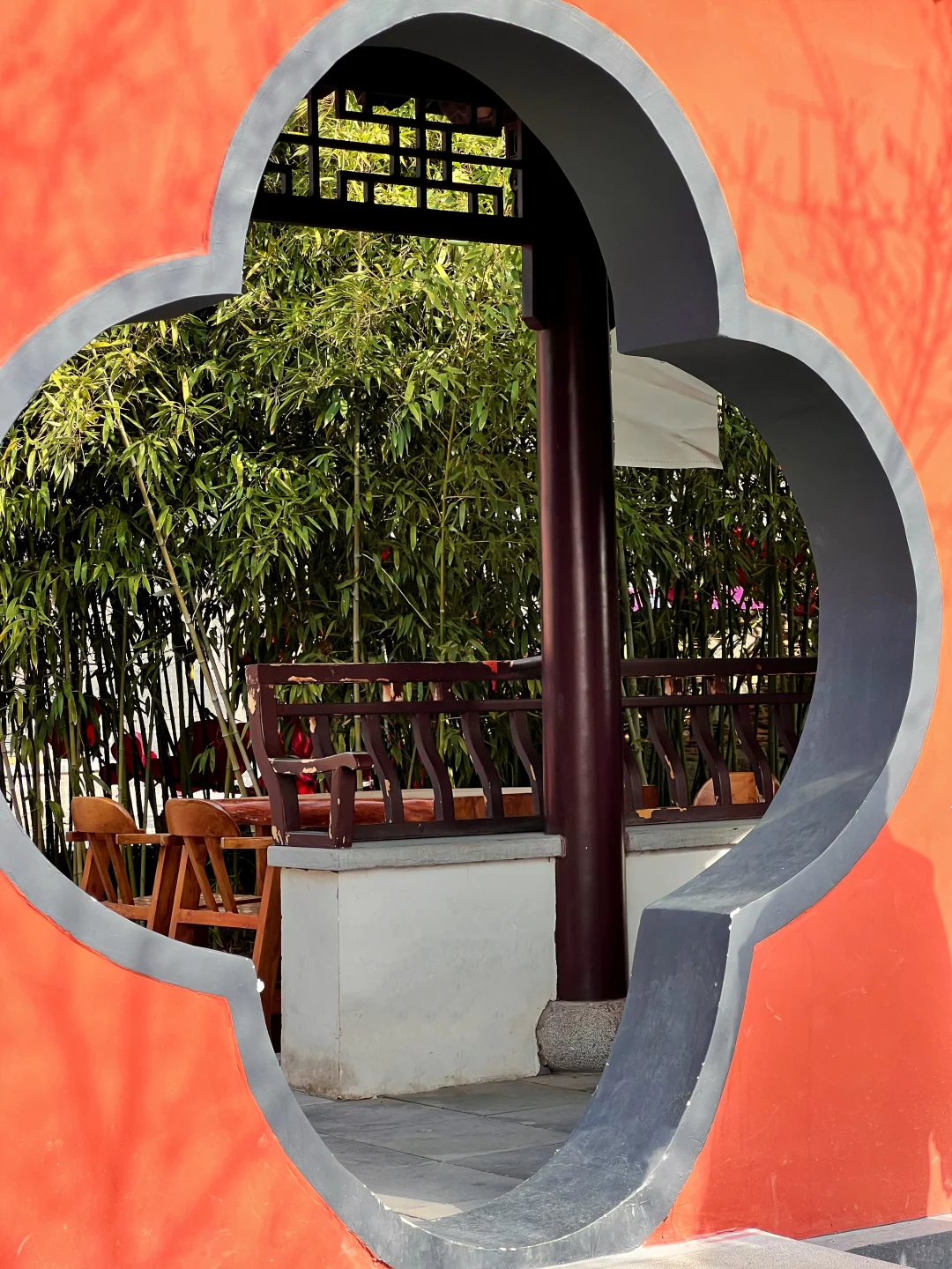 一树梅花开 岁岁常欢愉