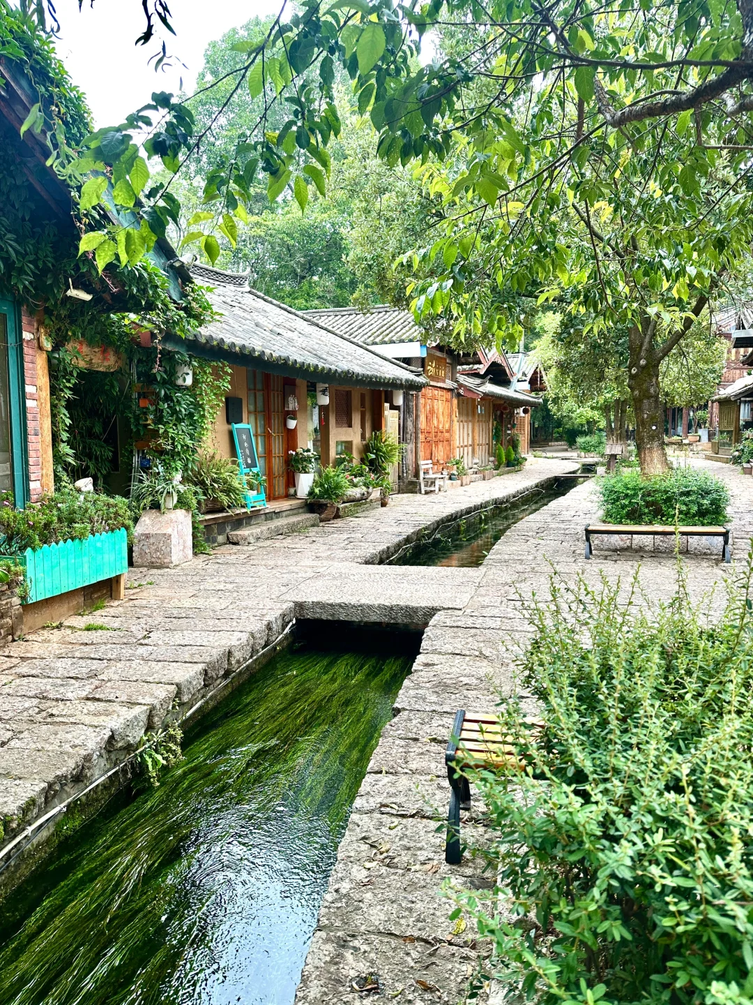 人均2k💰｜情侣丽江4天3晚攻略💐💕