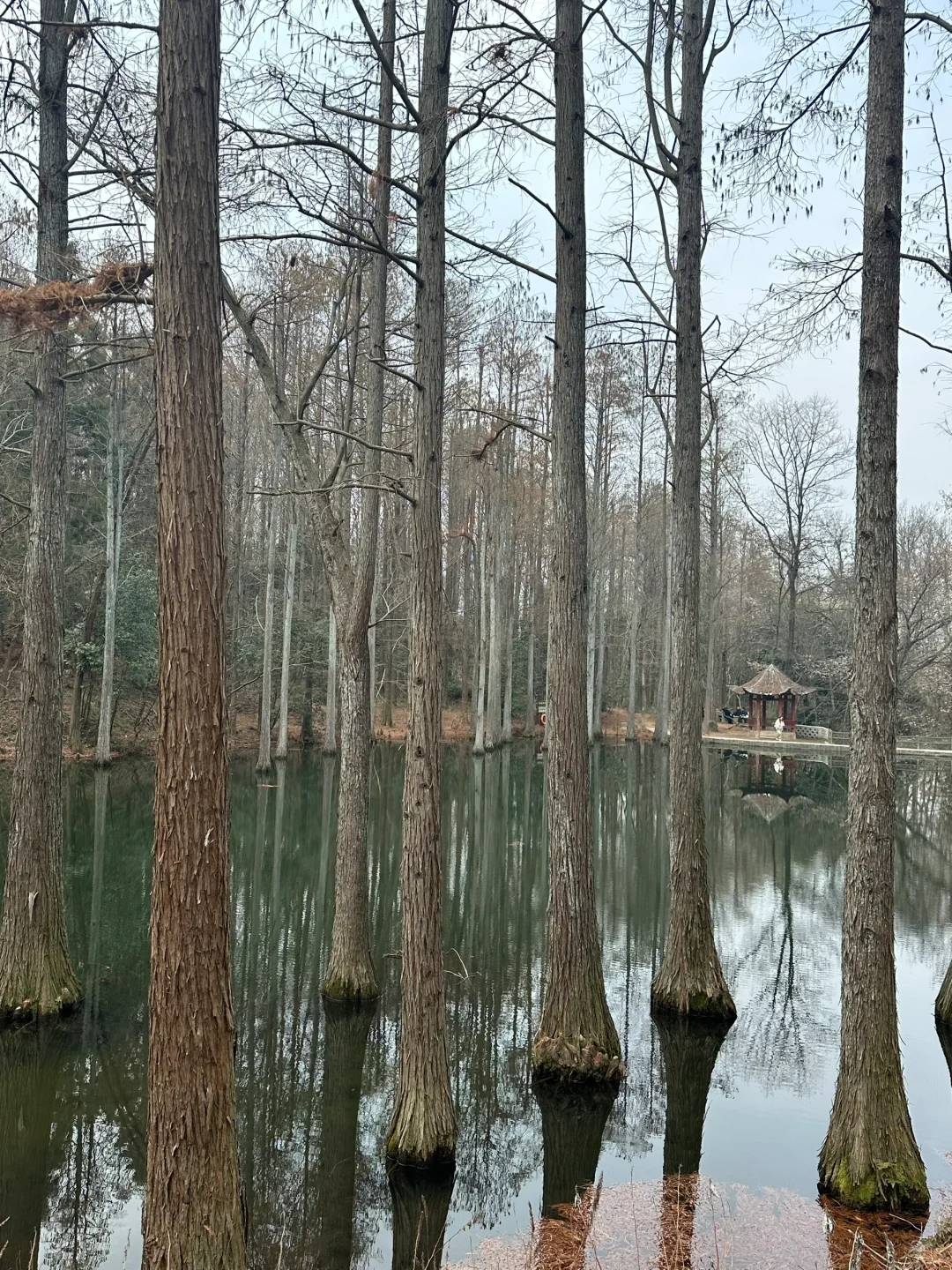 周末出发,武汉打工人满血复活!✨