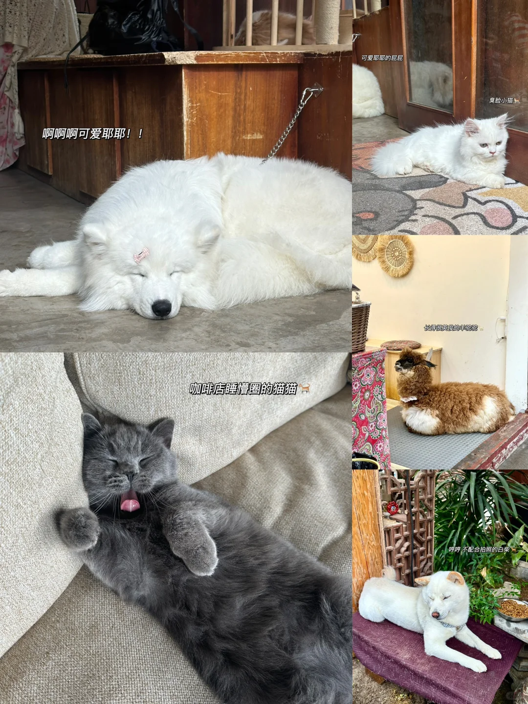 人均2k💰｜情侣丽江4天3晚攻略💐💕