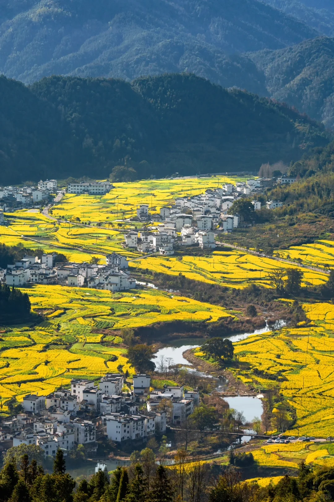 比起景德镇，我更爱上榜国家地理的春日小城