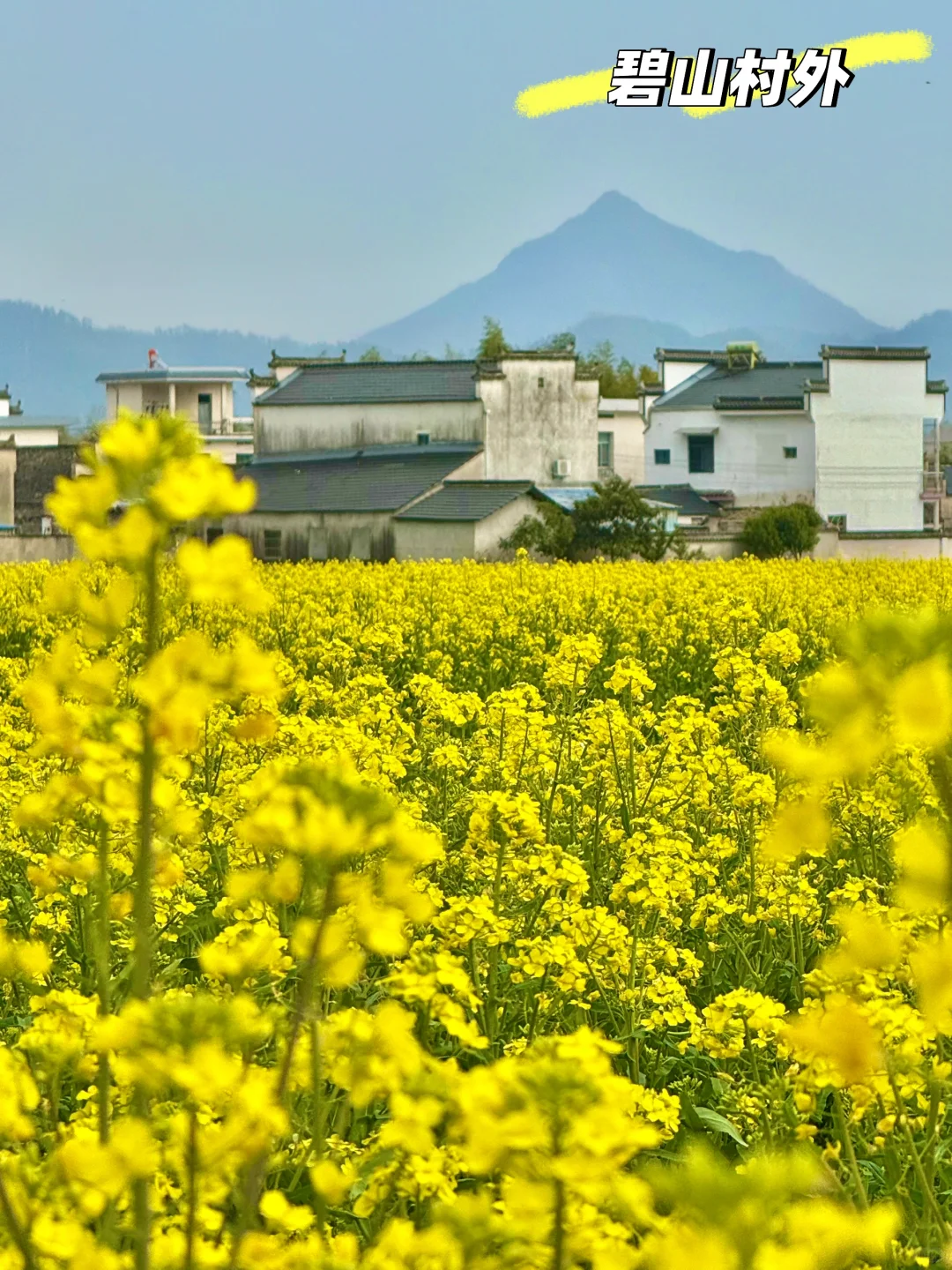 别挤宏村‼️这条私密路线承包90%皖南春色