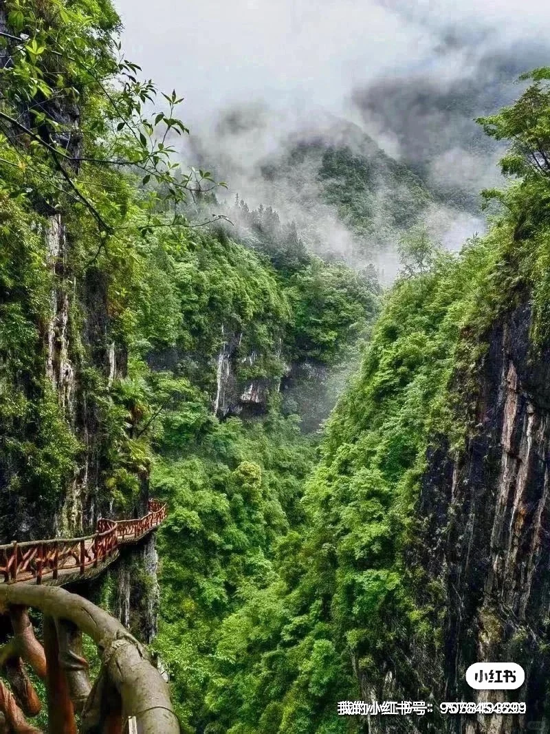 恩施——所有景区每日往返，可包车可拼车，