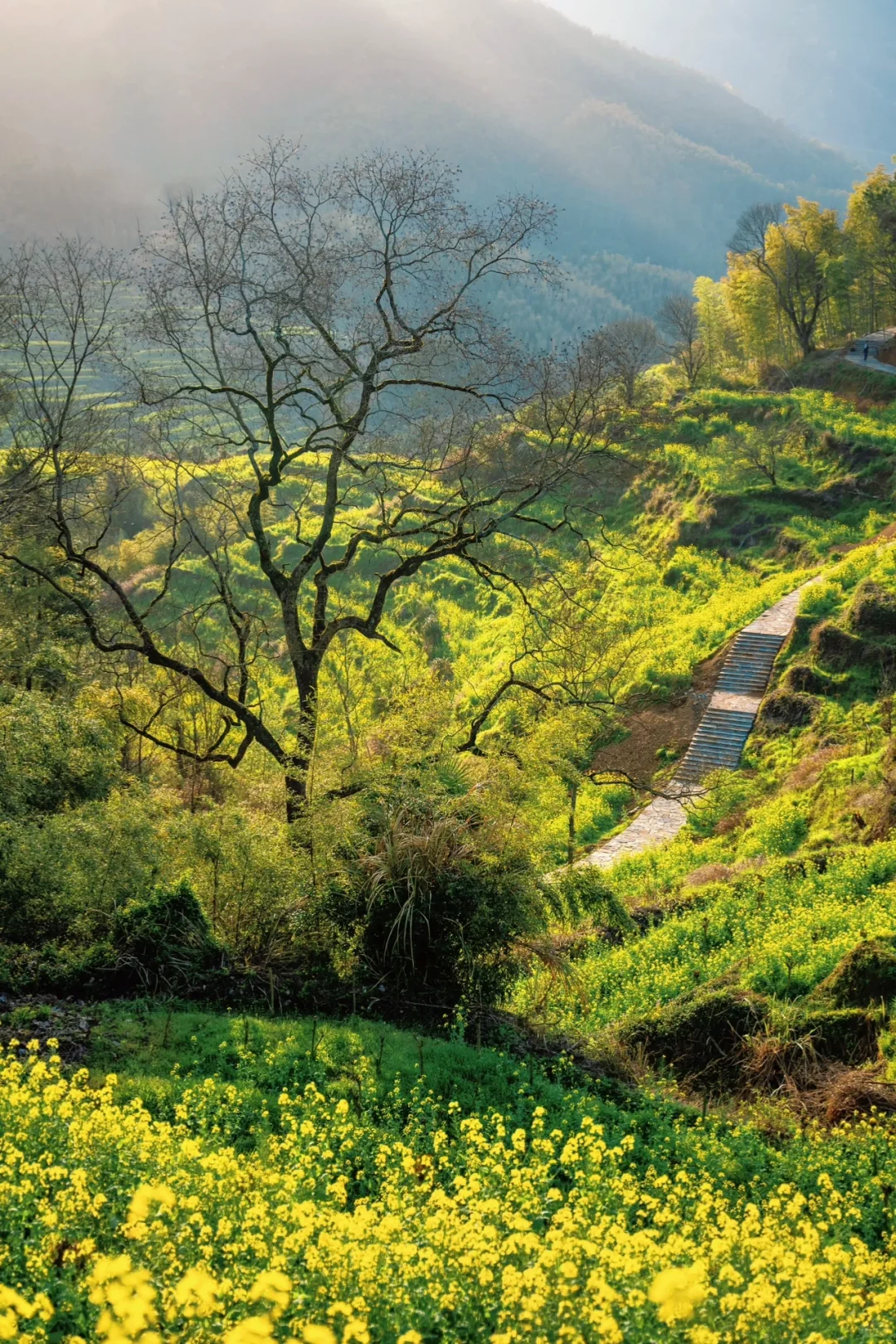 比起景德镇，我更爱上榜国家地理的春日小城