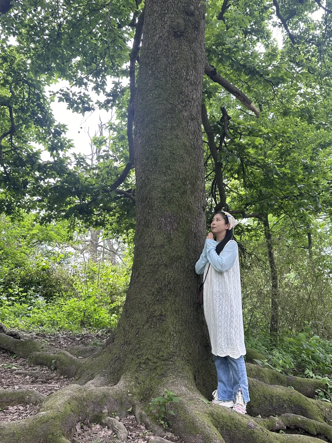 五一旅游河南私藏小众宝藏地-信阳新县