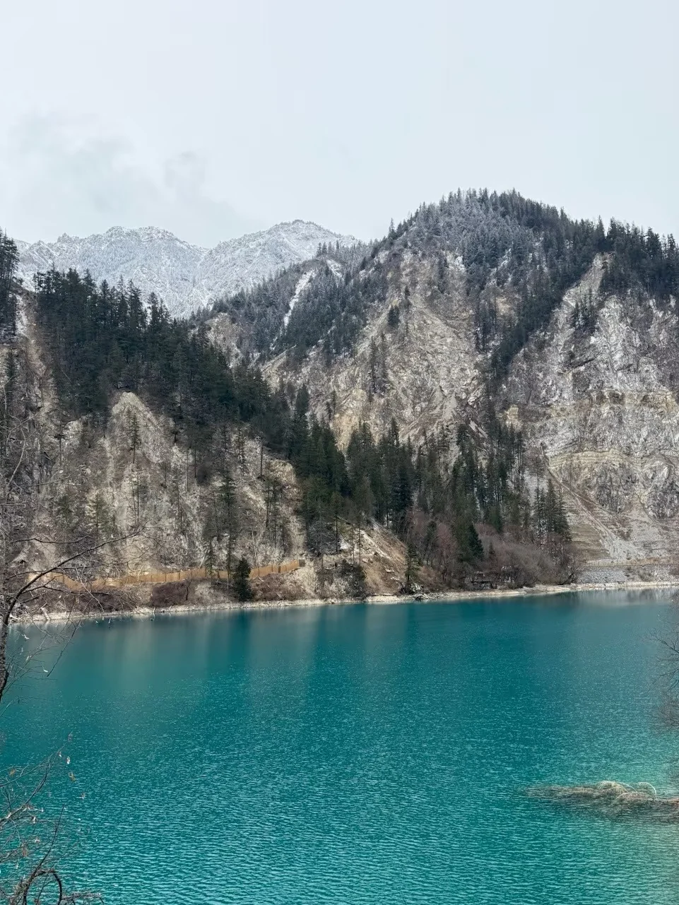 九寨沟黄龙已回，真的崩溃了！