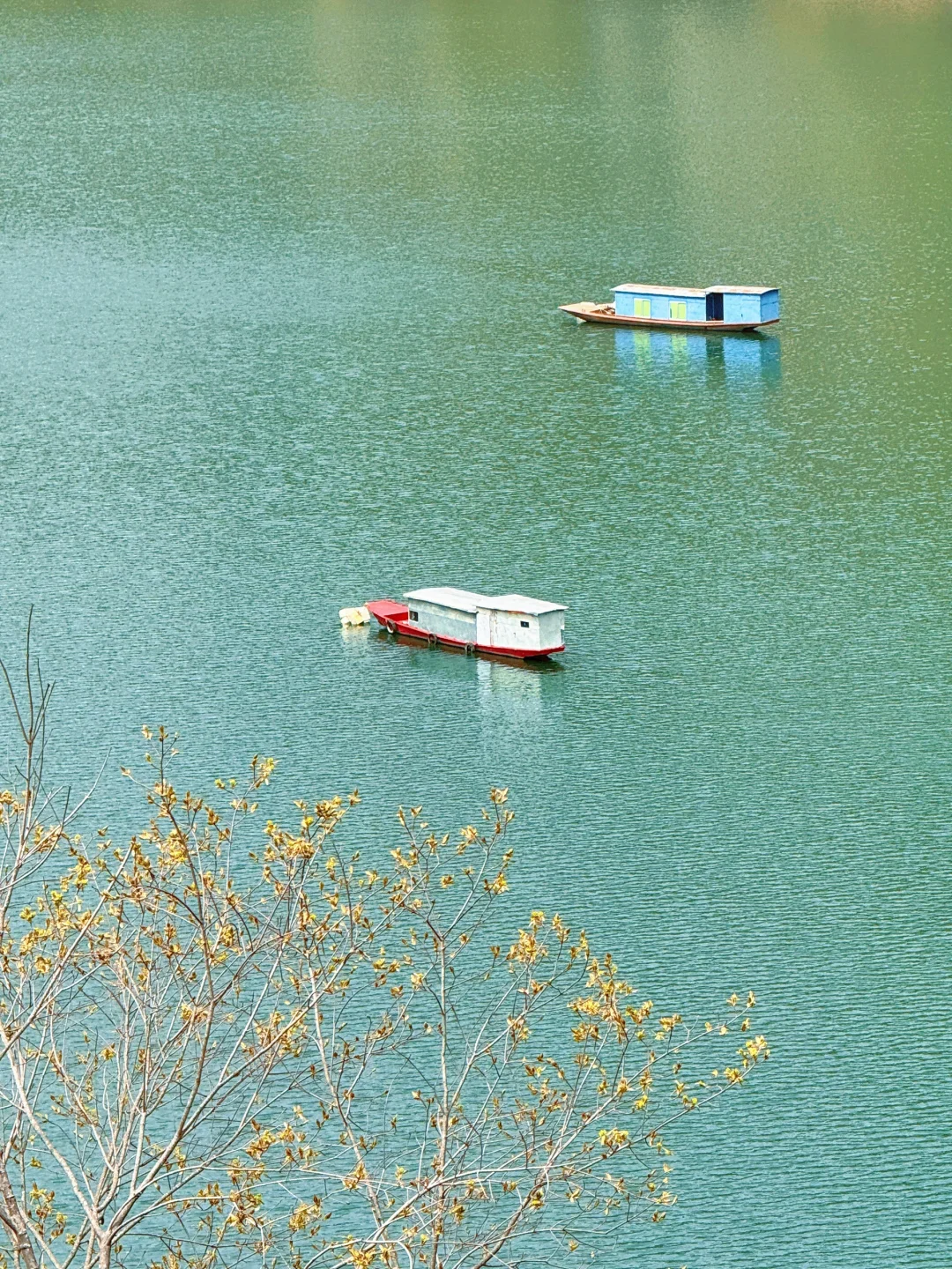 安康📍岚皋南宫山景区观景台