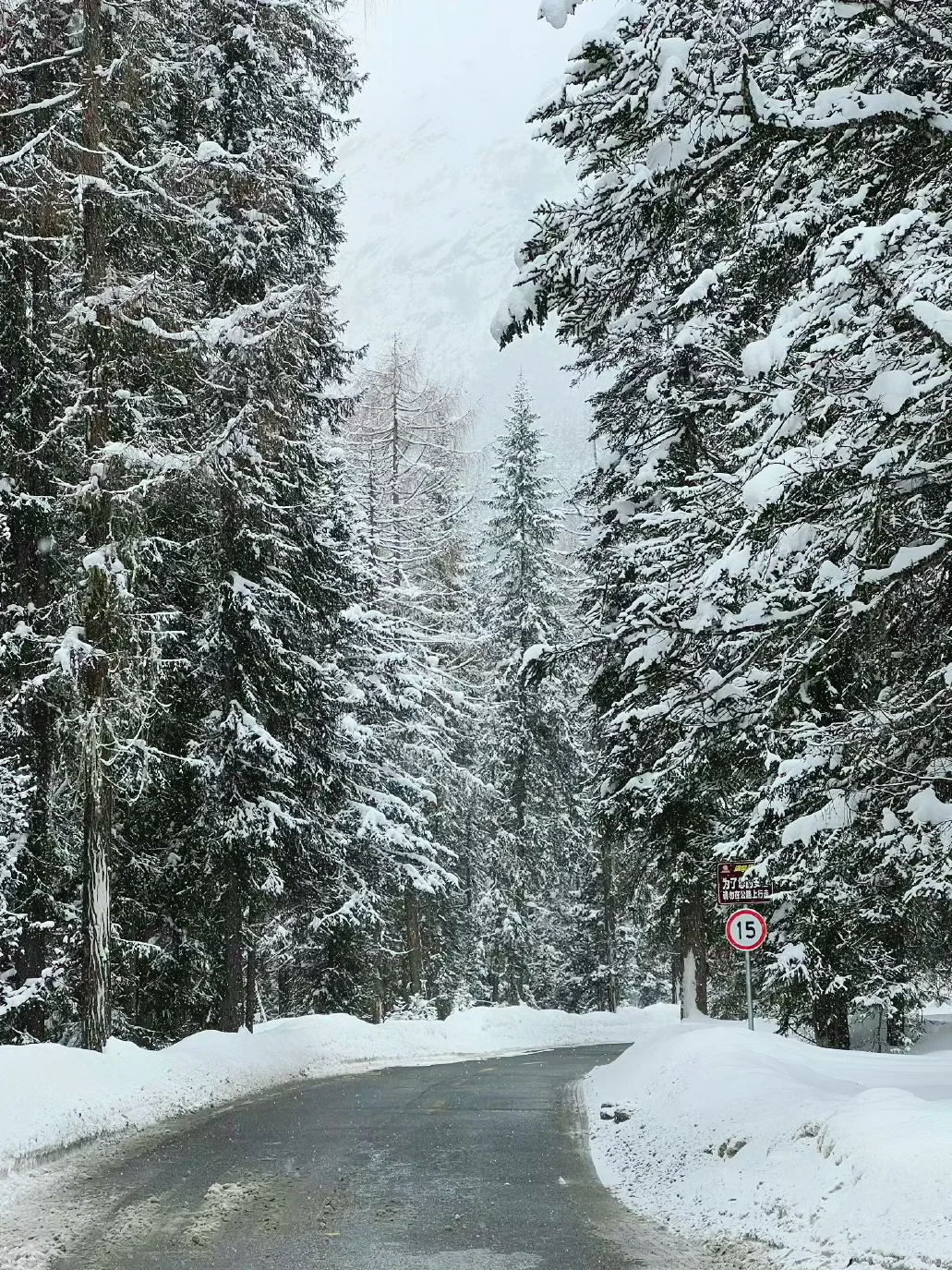 3.25📍四姑娘山现状，五一假期去都是大冤种
