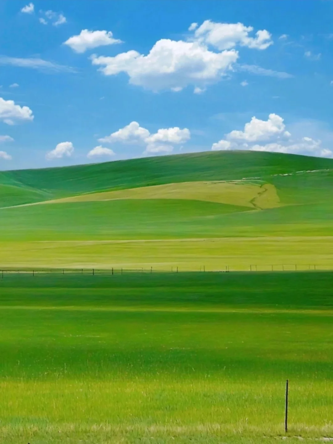 DeepSeek推荐，五一清明反向旅游的乌兰布统