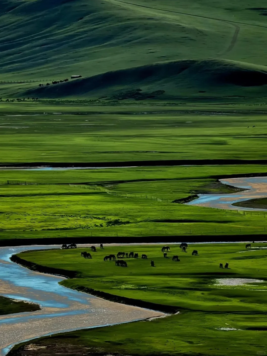 DeepSeek推荐，五一清明反向旅游的乌兰布统