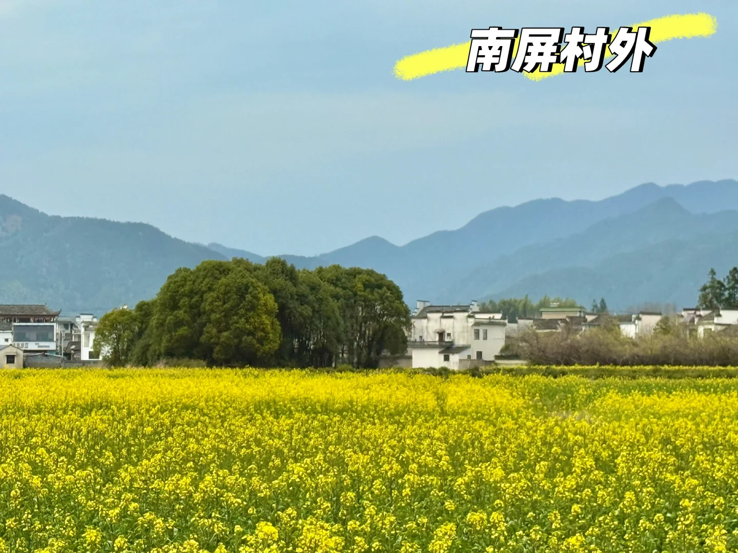 别挤宏村‼️这条私密路线承包90%皖南春色