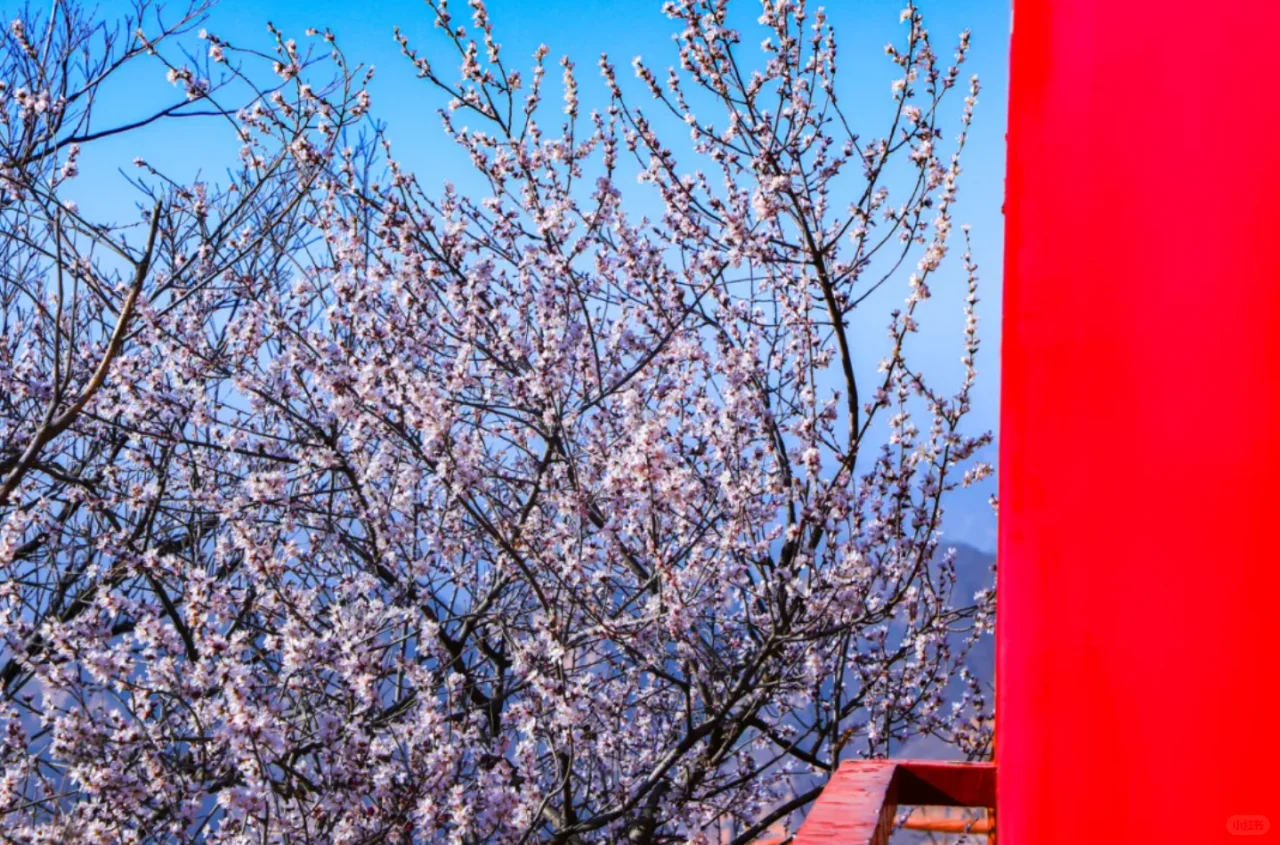 赴一场春日之约丨遇见古武当山