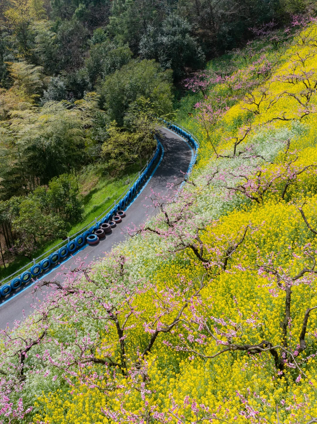 在湖州，坐上开往春天的漫画小火车