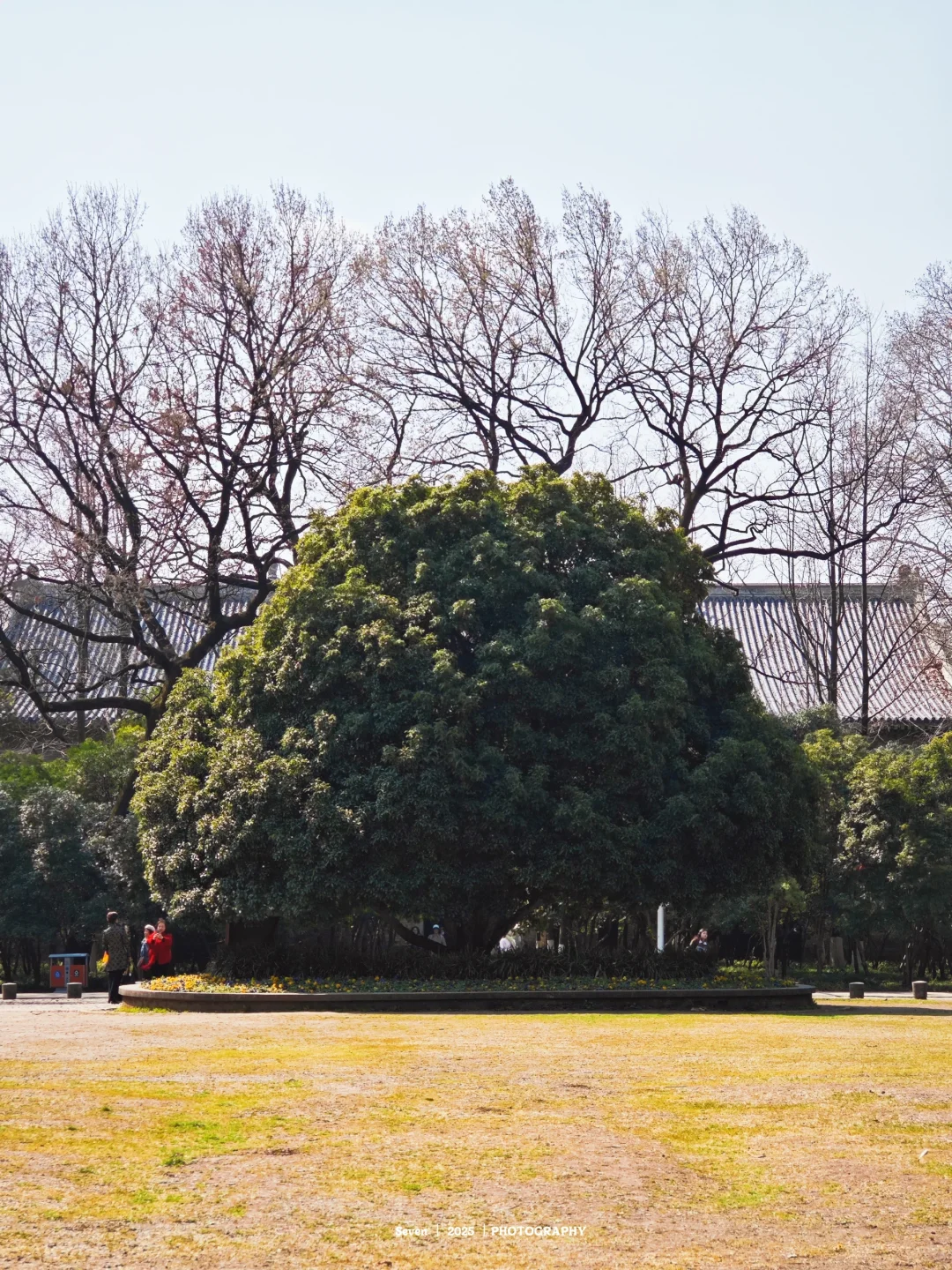 南京灵谷景区游览攻略📘