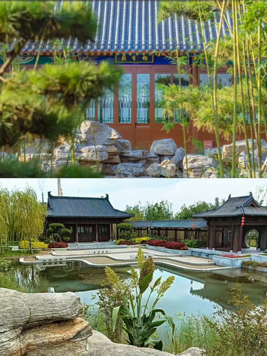 春日趣游 邂逅自然|沧州阿卡春季踏青攻略