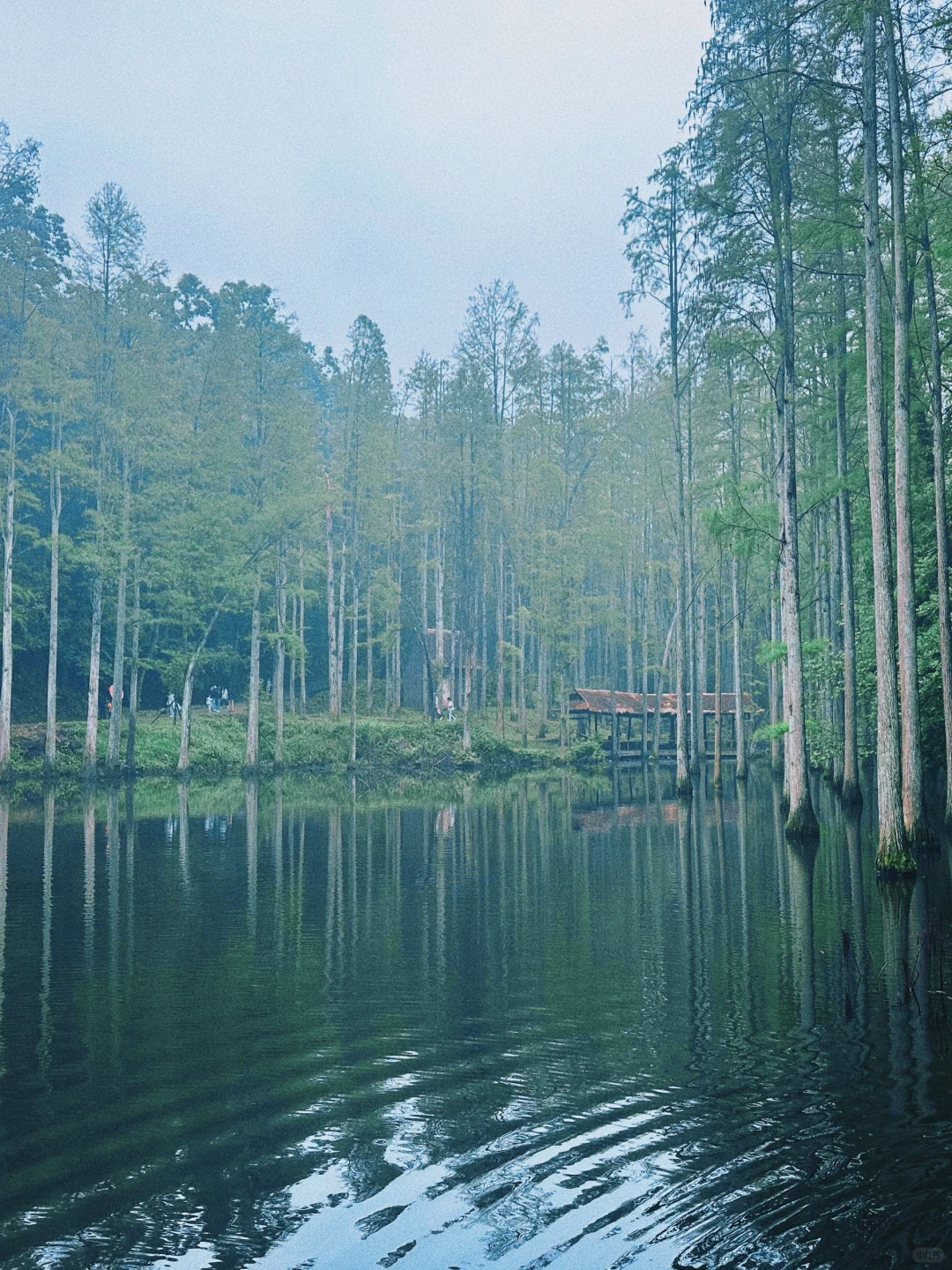 五一旅游河南私藏小众宝藏地-信阳新县