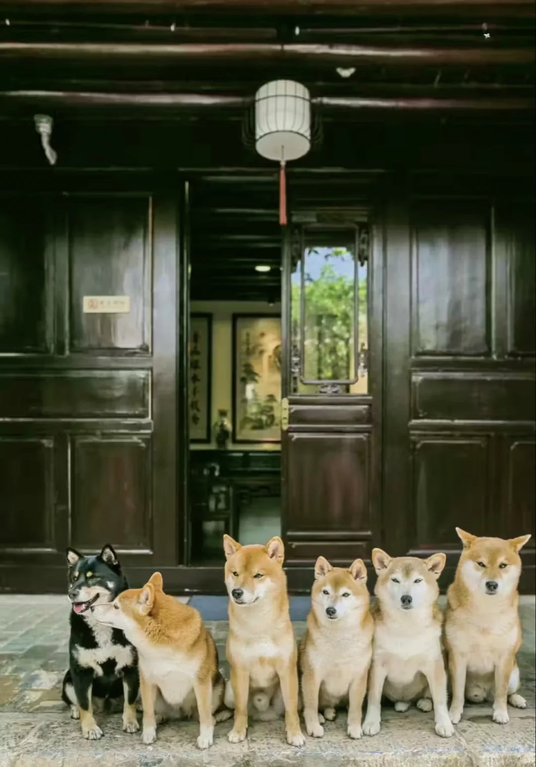 3-4月反向旅游低消费穷游去6个冷门城市✅