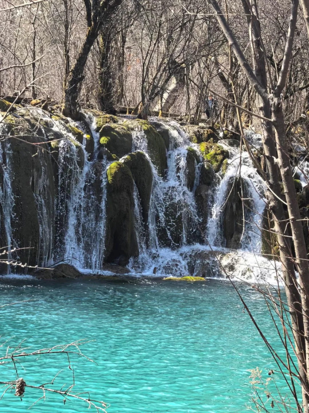 九寨沟黄龙已回，真的崩溃了！