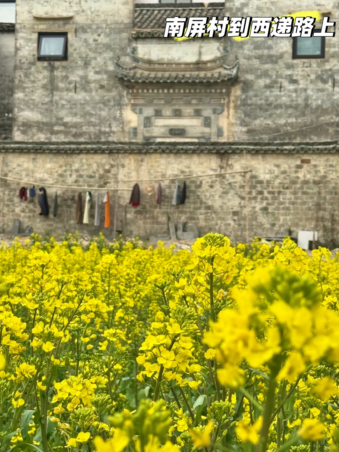 别挤宏村‼️这条私密路线承包90%皖南春色