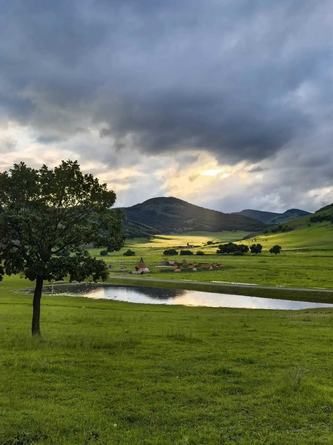 能劝一个是一个，6-8月去内蒙古千万别踩这些