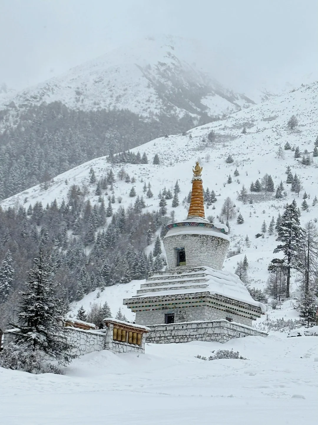 3.25📍四姑娘山现状，五一假期去都是大冤种
