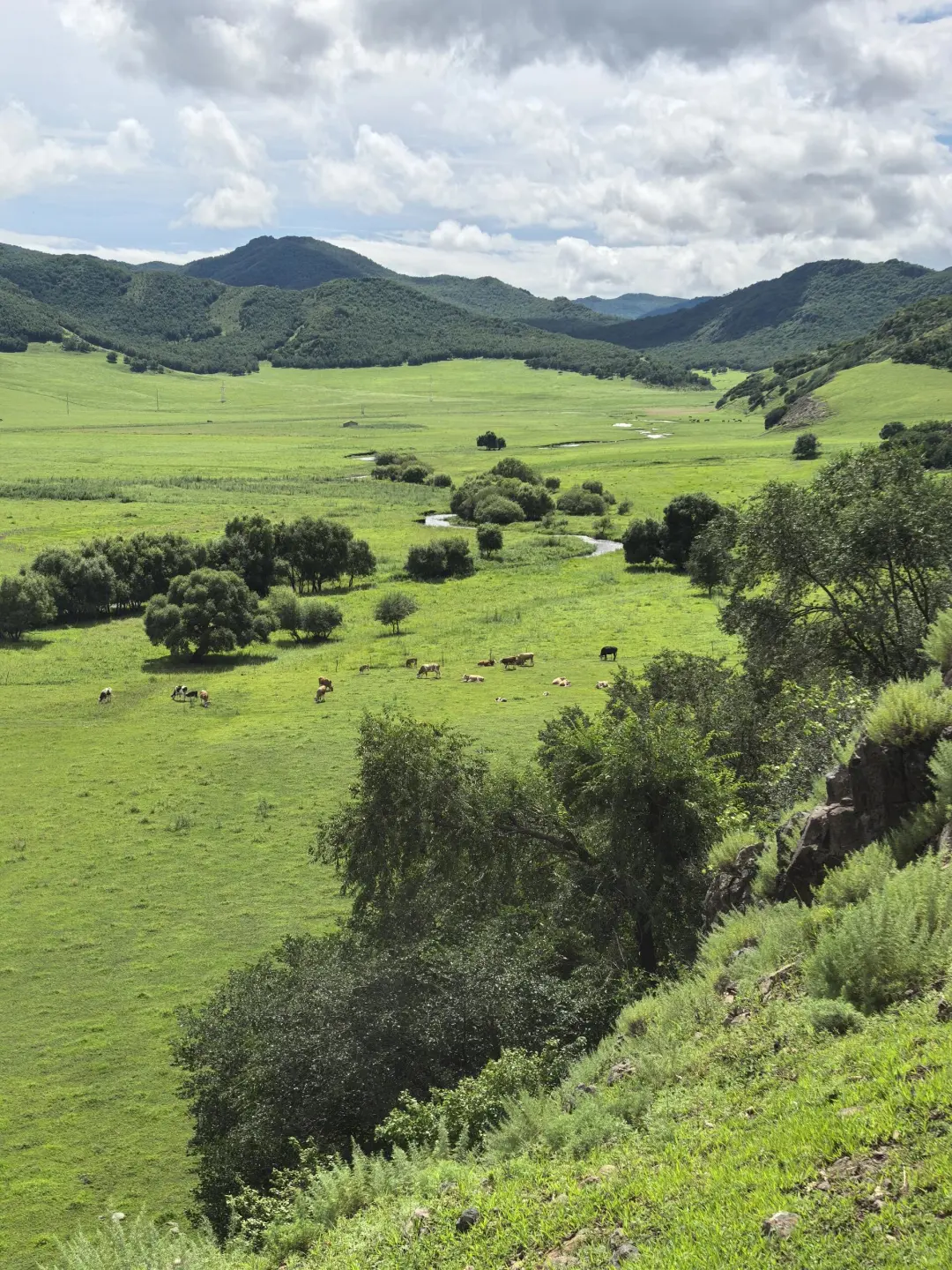 能劝一个是一个，6-8月去内蒙古千万别踩这些