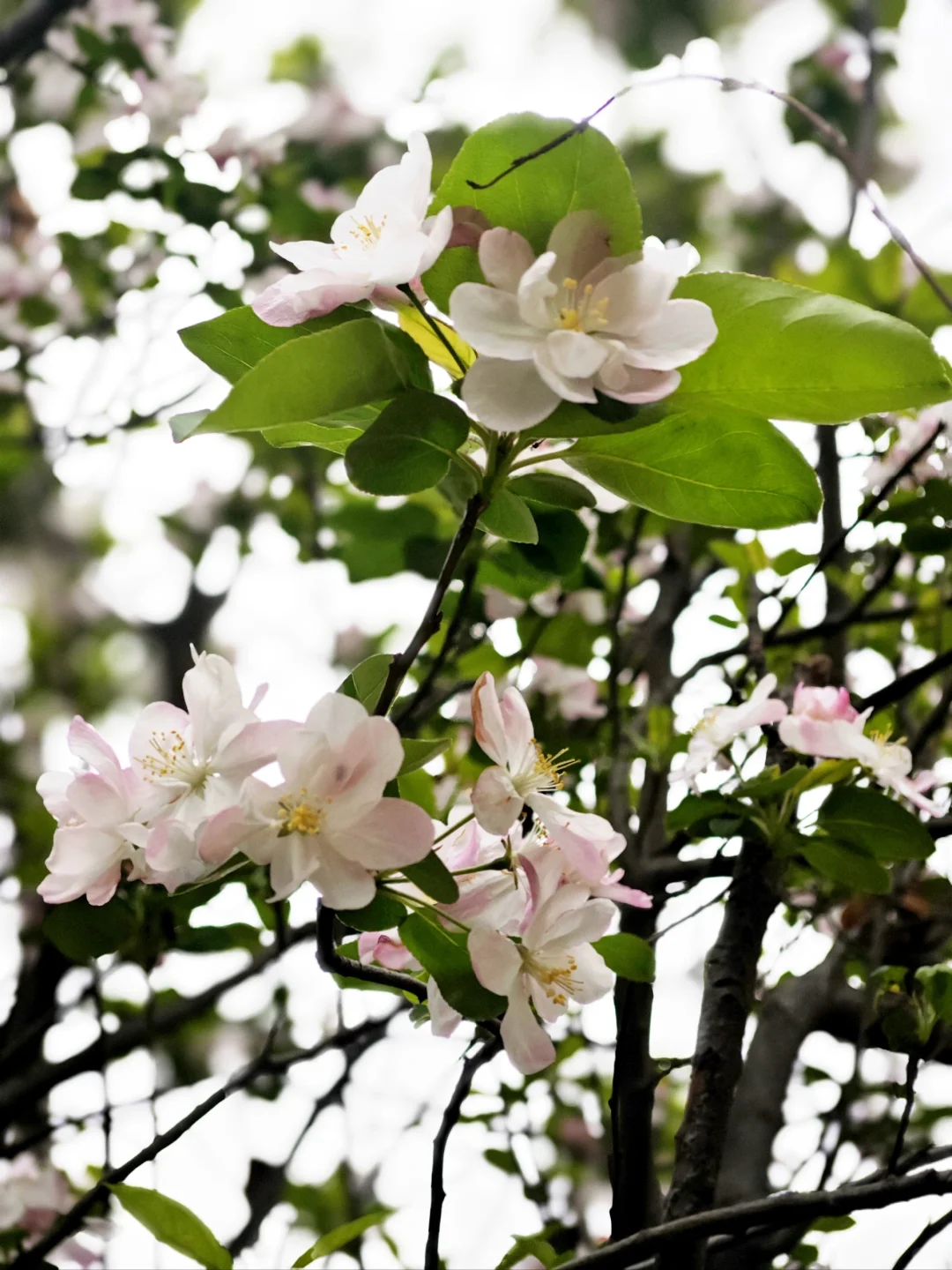 徐州金龙湖景区宕口公园体育公园户外好去处