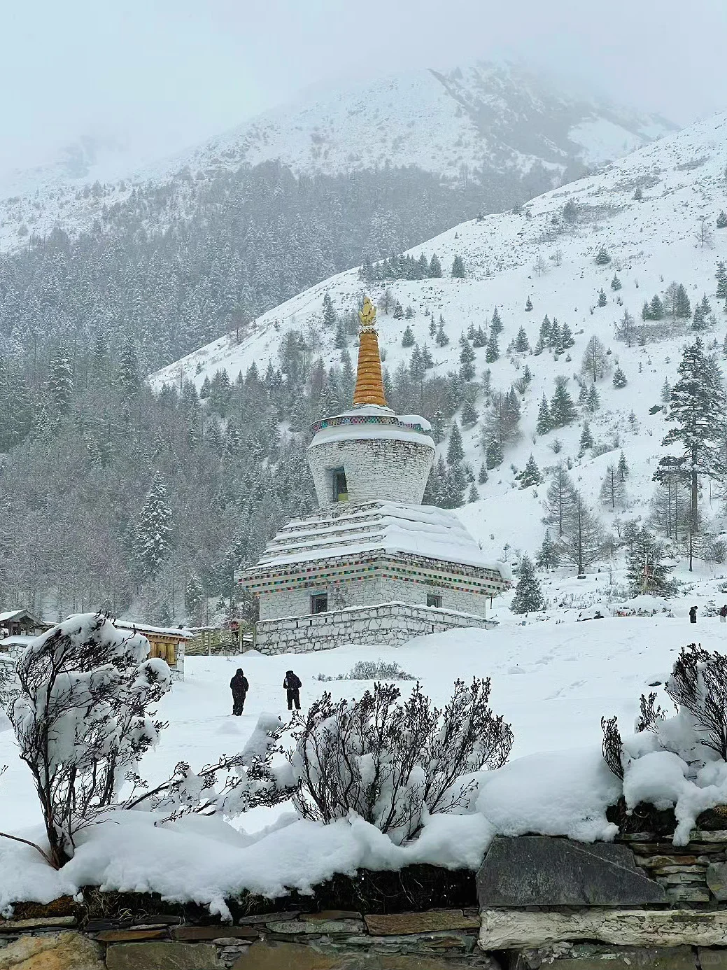 3.25📍四姑娘山现状，五一假期去都是大冤种