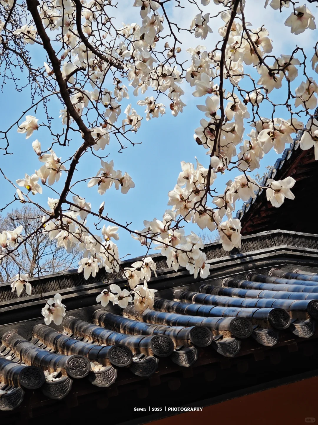 南京灵谷景区游览攻略📘