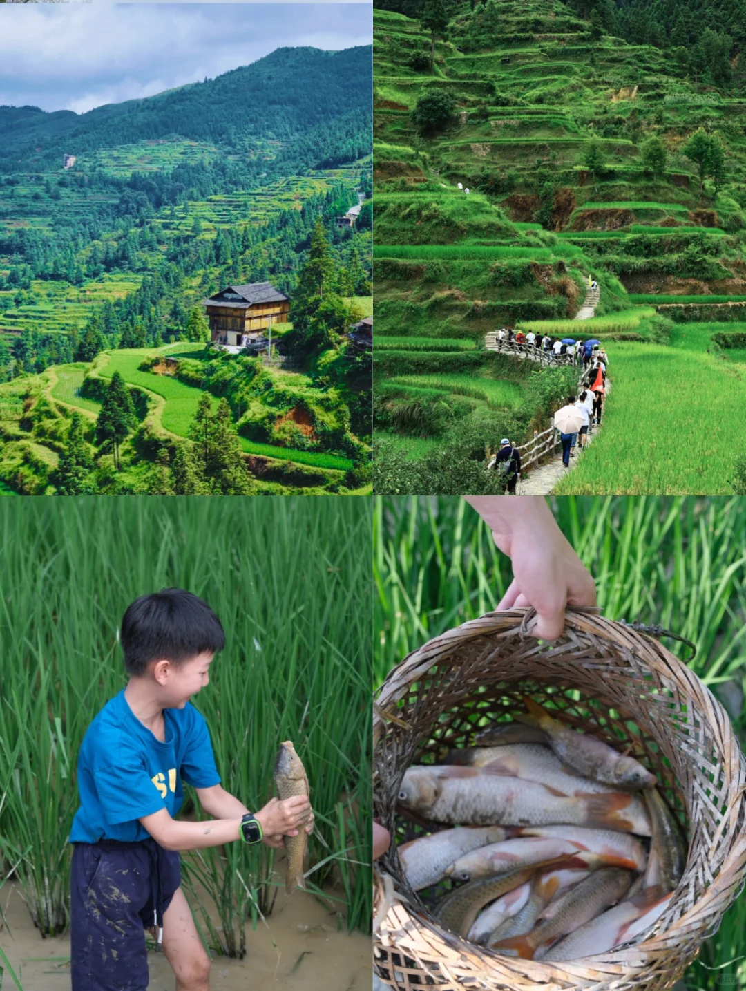 清明五一避开人流！推荐8个小众宝藏遛娃地